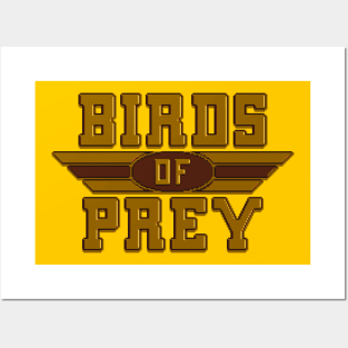 Birds of Prey Posters and Art